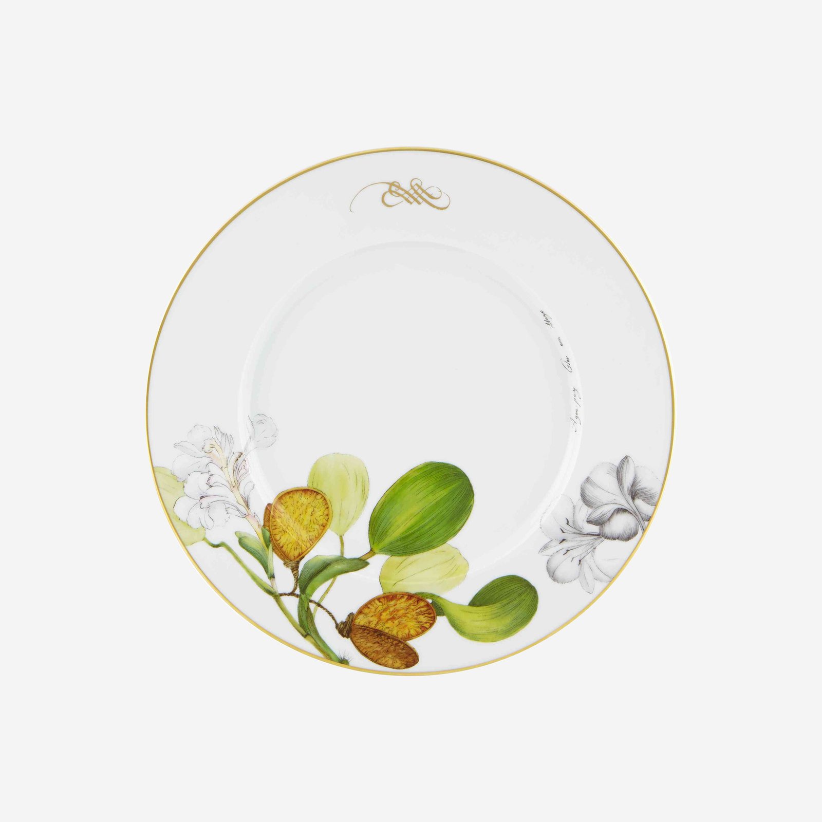 Vista Alegre Amazonia Beyaz Porselen Yemek Tabağı 30 Cm