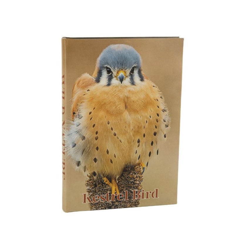 Kestrel Bird Kitap Kutu 35x24x3cm